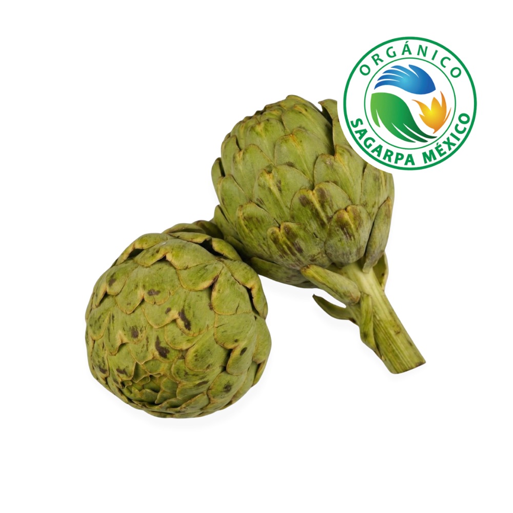 Alcachofa Orgánica Certificada