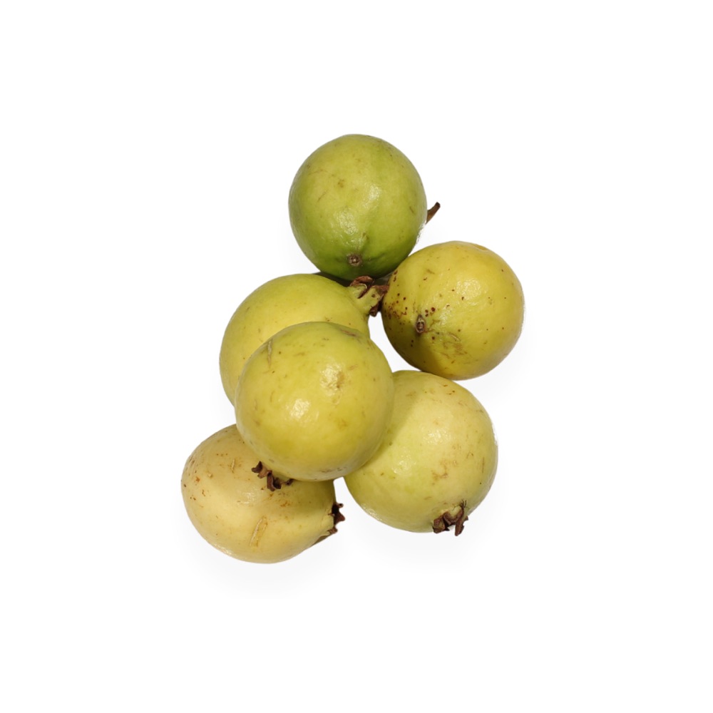 Guayaba Agroecológica