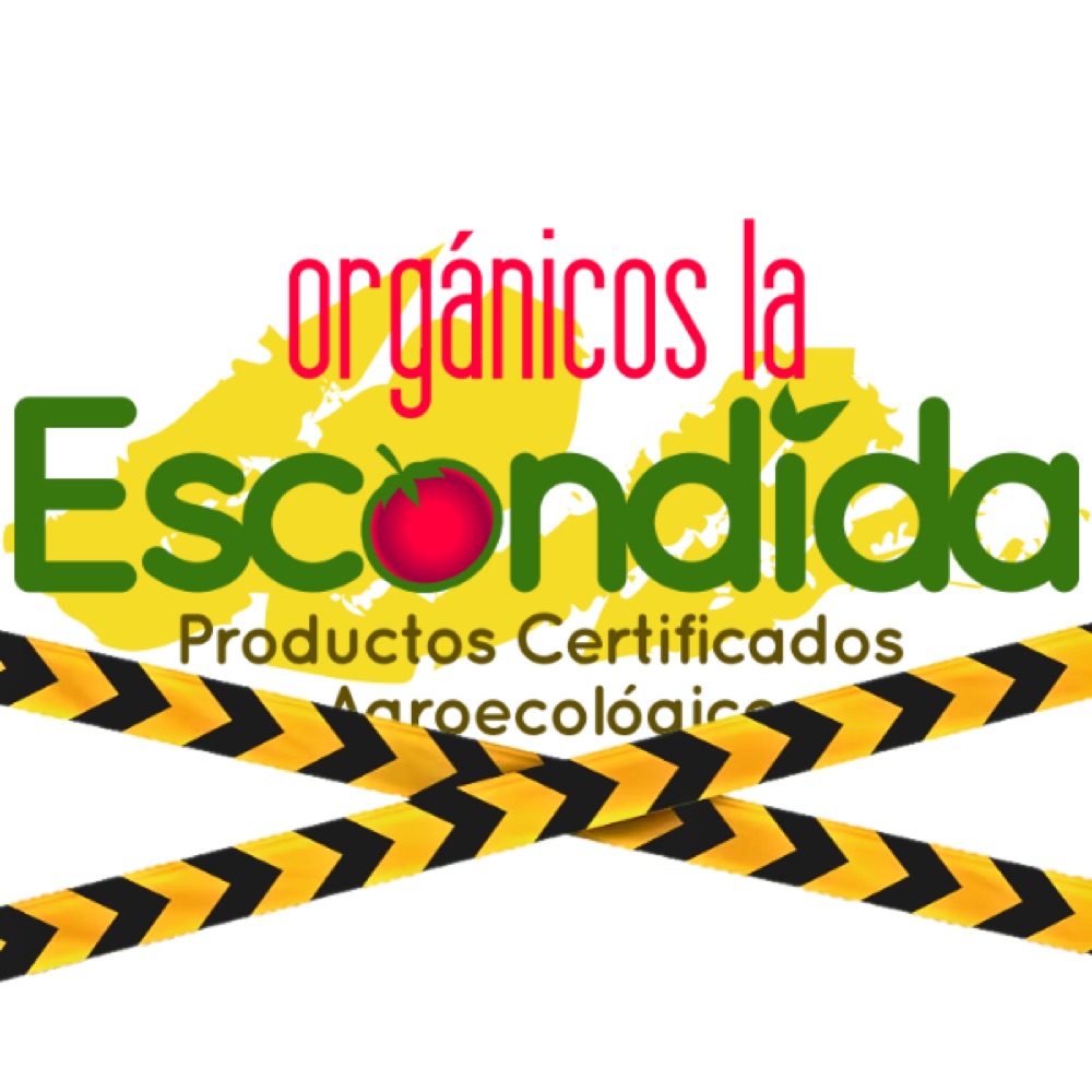 Pak Choi Baby Orgánico Certificado