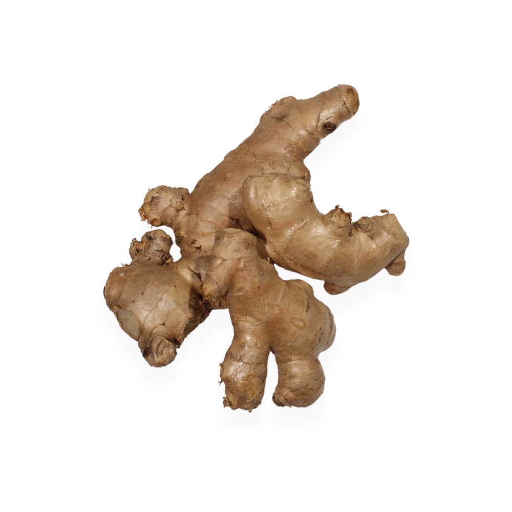 Jengibre Agroecológico