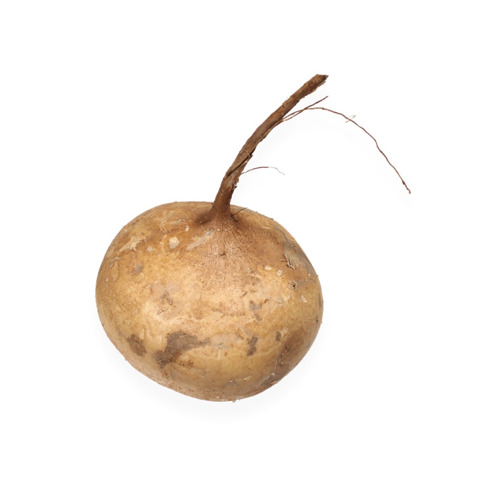 Jícama Agroecológica