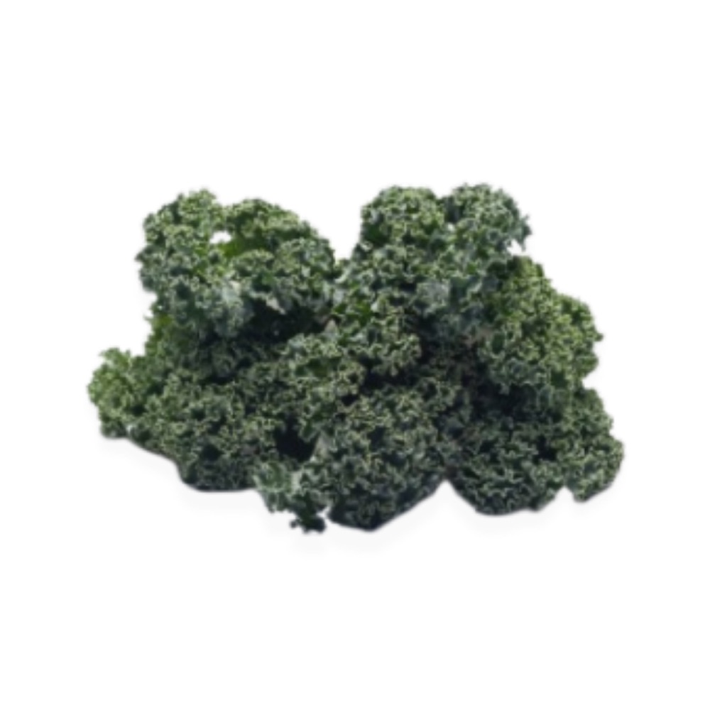Kale Rizado Orgánico