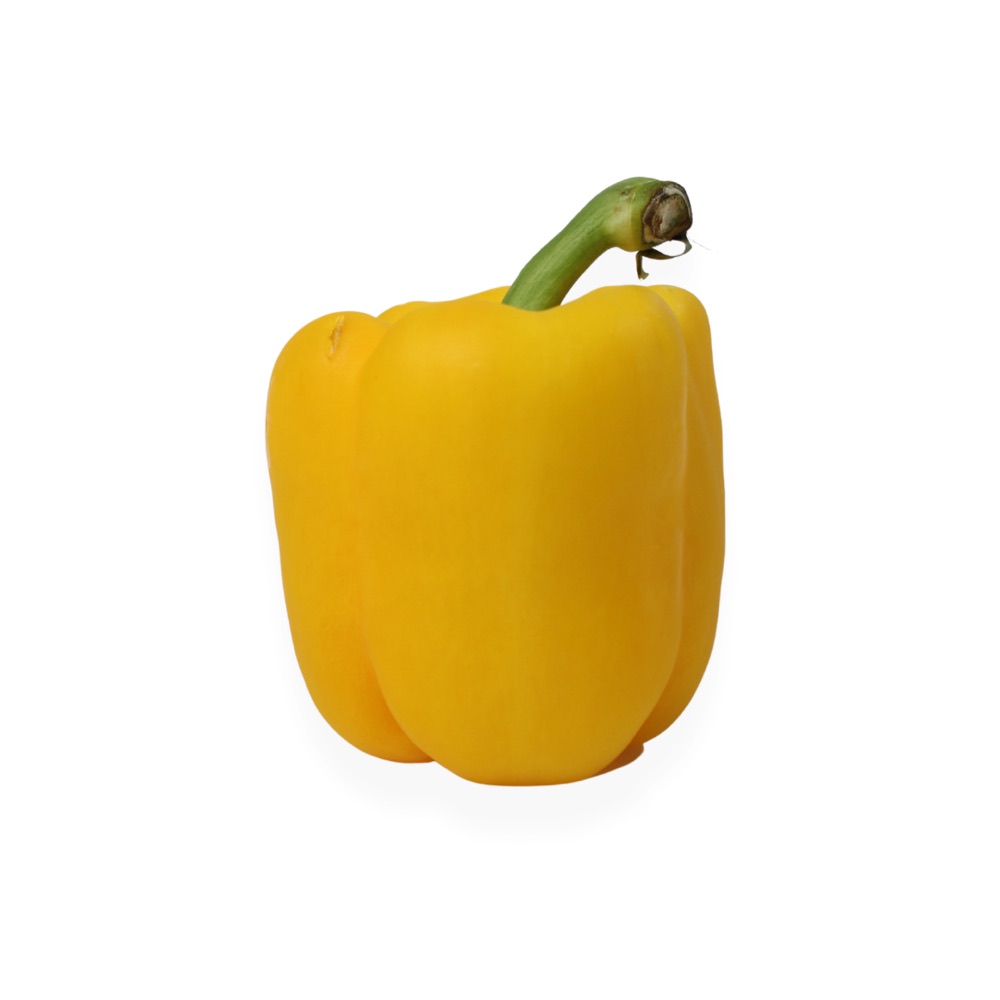 Pimiento Morrón Agroecológico