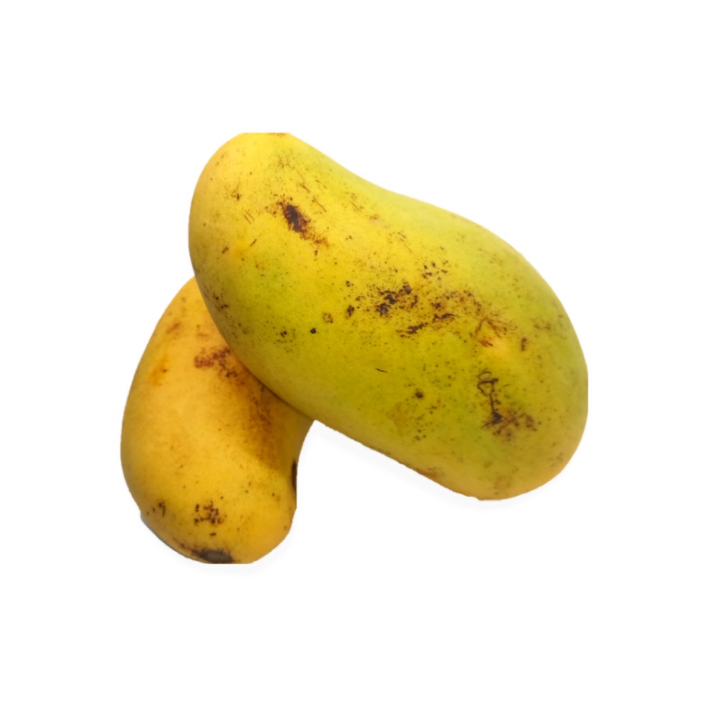 Mango Ataulfo Agroecológico