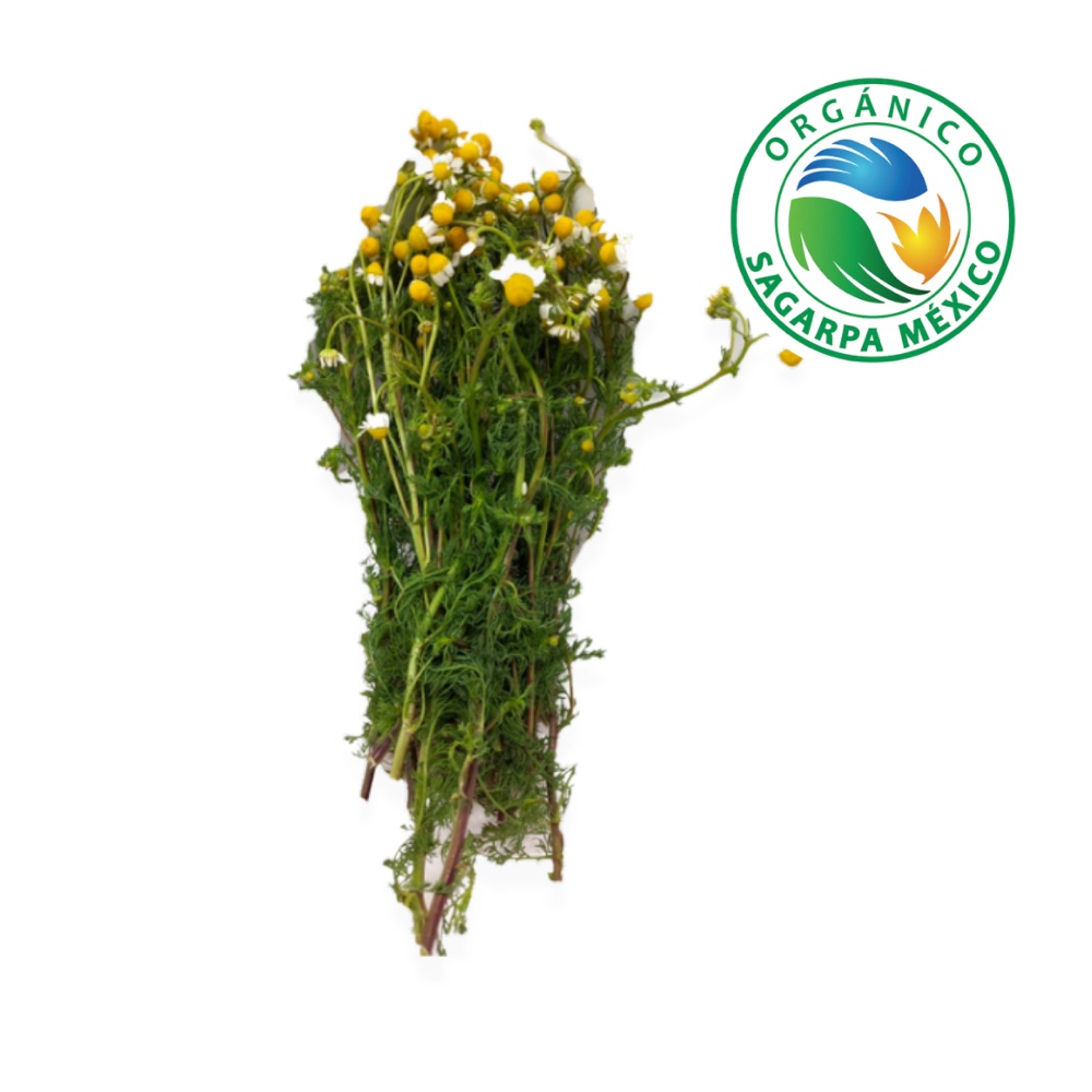 Manzanilla Orgánica Certificada