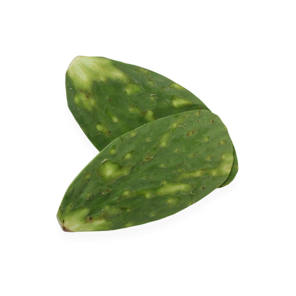 Nopal Limpio Agroecológico