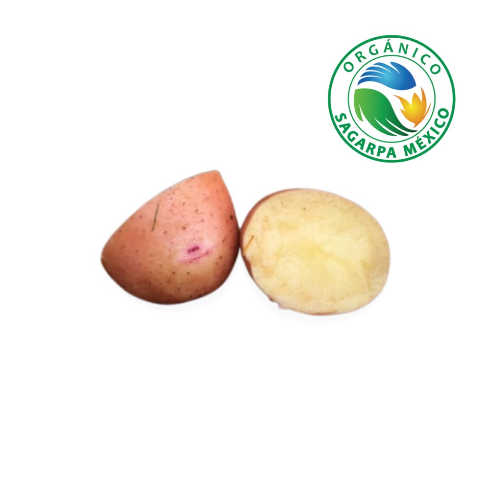Papa Rosa Orgánica Certificada