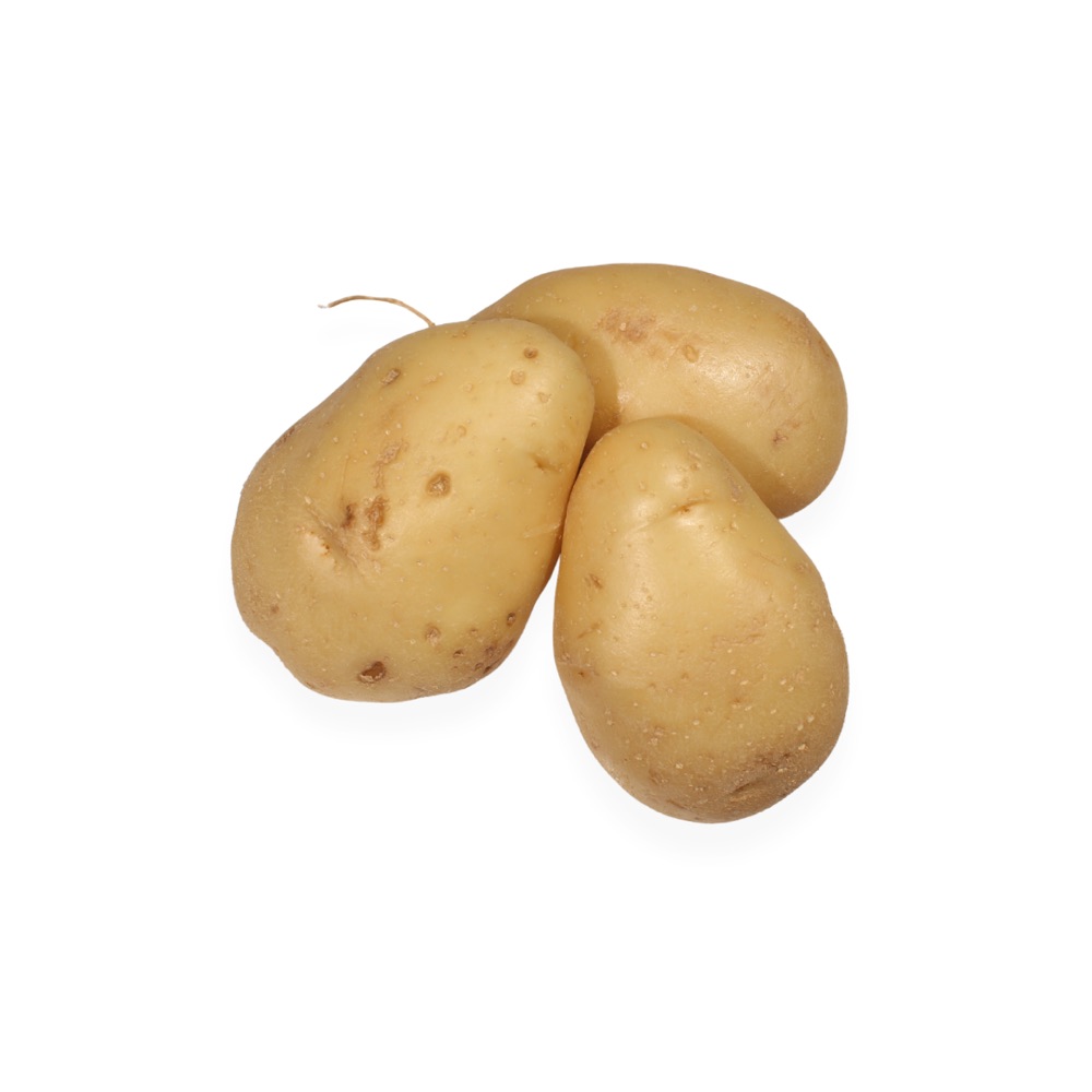 Papa Blanca
