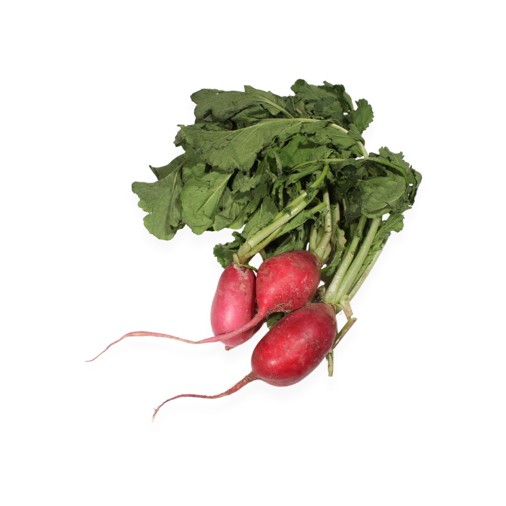 Rábano Rojo Agroecológico