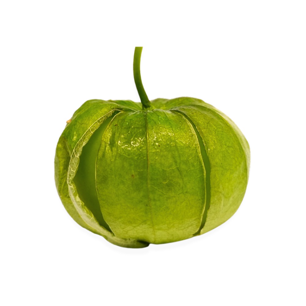 Tomatillo Agroecológico